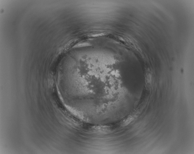 X0000076080367200610061622