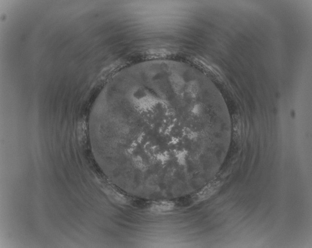 X0000076080369200610061622