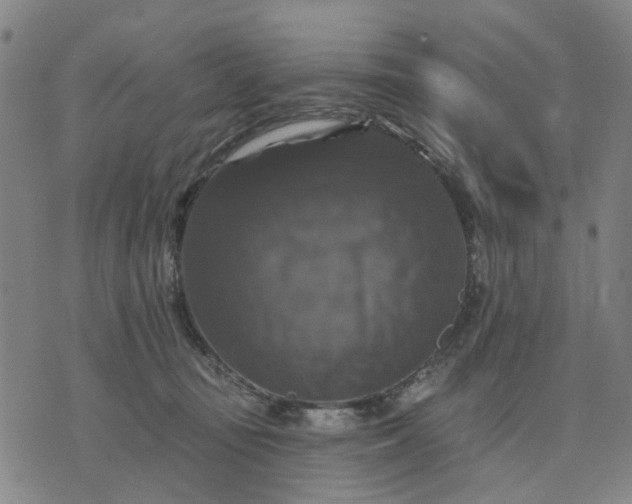 X0000076080371200610061622