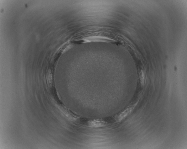 X0000076080372200610061622