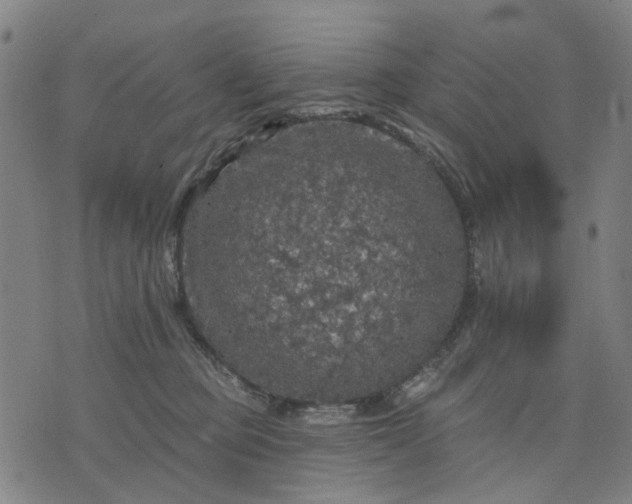 X0000076080373200610061622