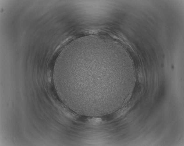 X0000076080374200610061622