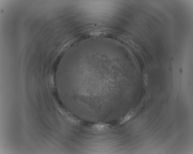 X0000076080375200610061622