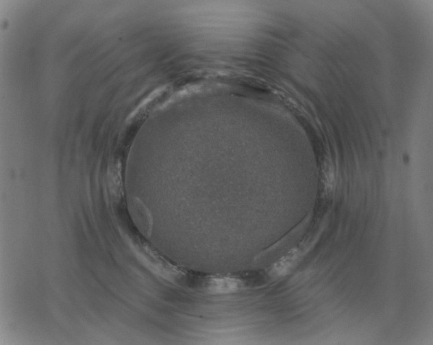 X0000076080376200610061622