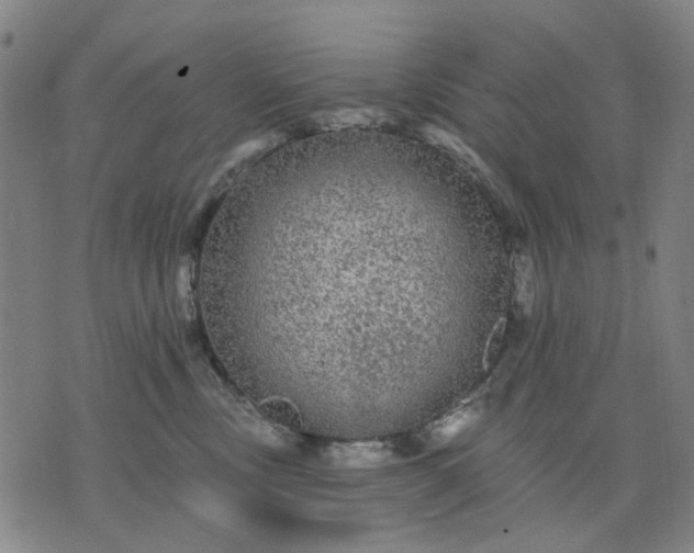 X0000076080378200610061622