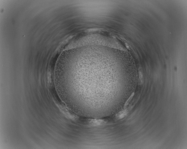 X0000076080379200610061622