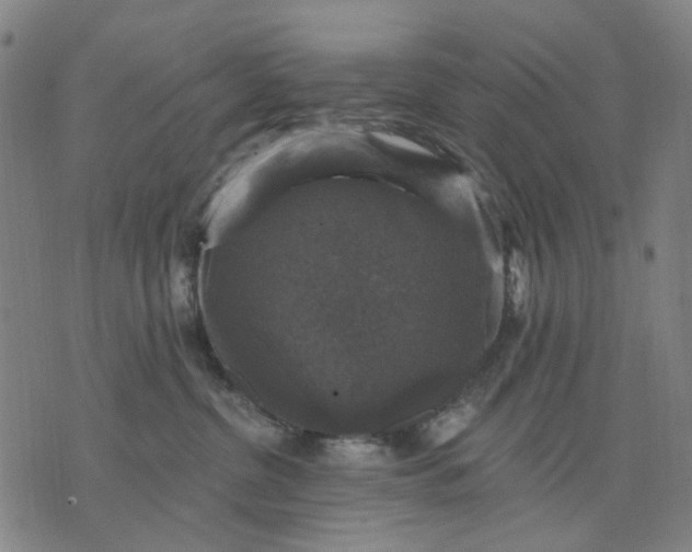 X0000076080380200610061622