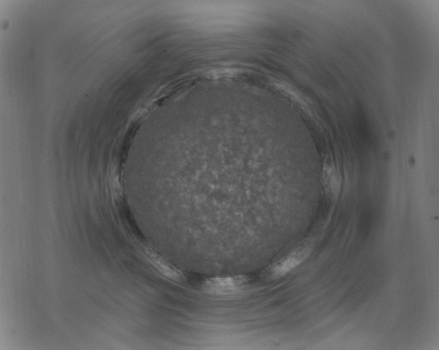 X0000076080381200610061622