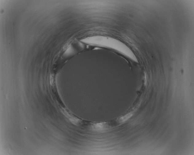 X0000076080382200610061622