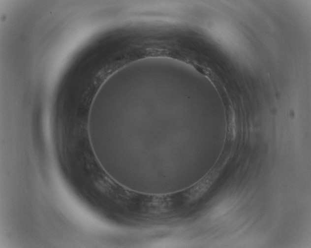 X0000076080383200610061622