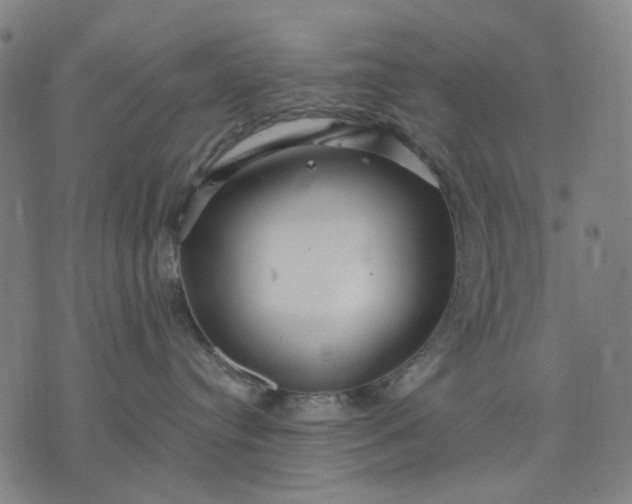 X0000076080384200610061622