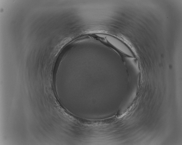 X0000076080385200610061621