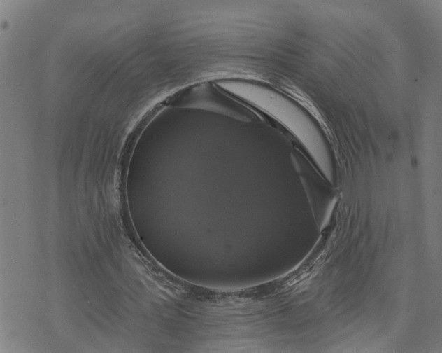 X0000076080387200610061621