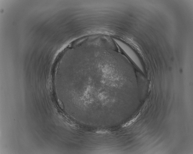 X0000076080388200610061621