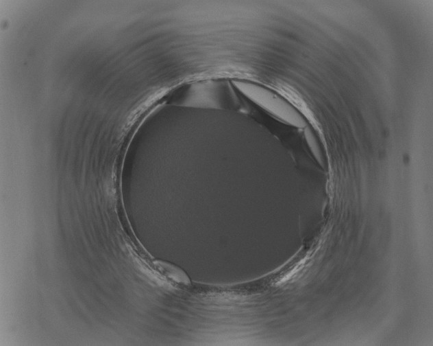 X0000076080389200610061621