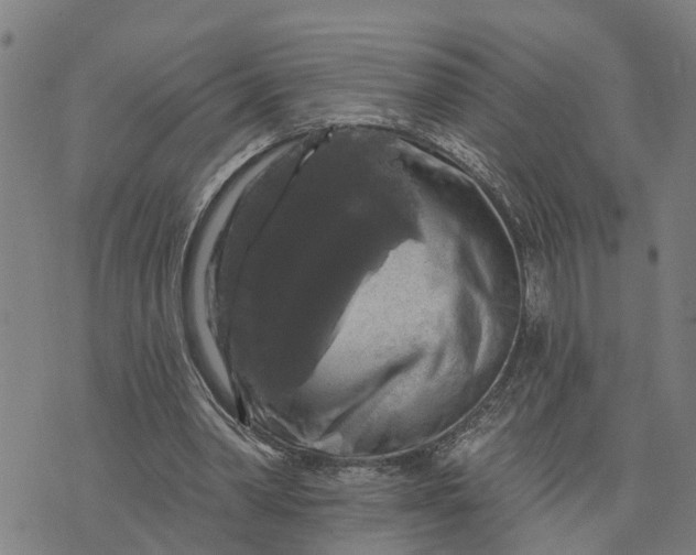 X0000076080390200610061621