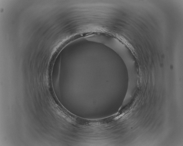 X0000076080391200610061621