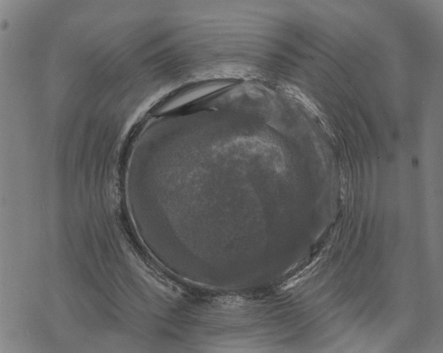 X0000076080392200610061621