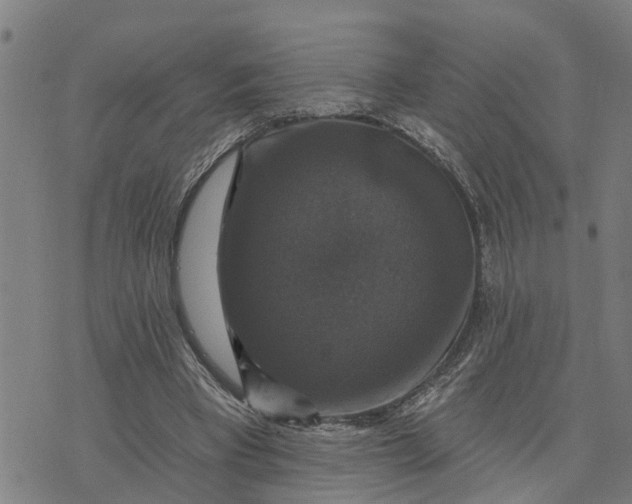 X0000076080393200610061621