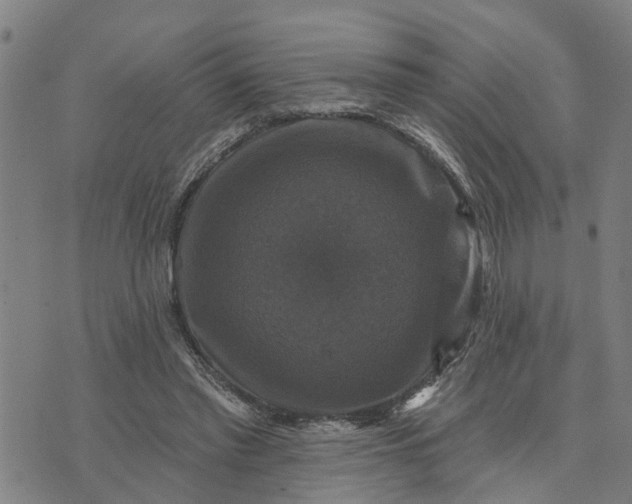 X0000076080397200610061621