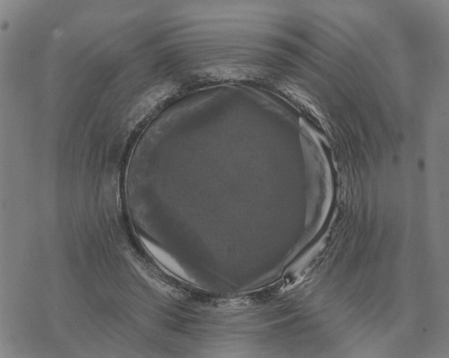 X0000076080398200610061621