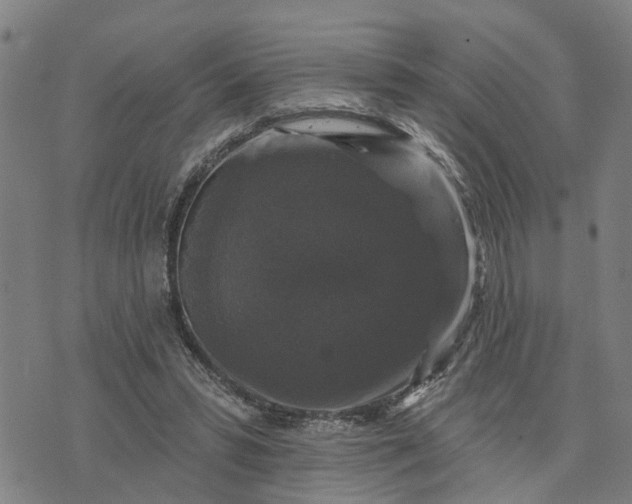 X0000076080399200610061621