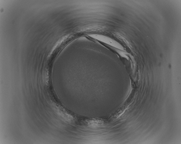 X0000076080400200610061621