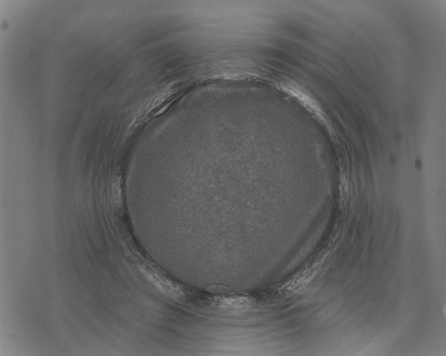 X0000076080401200610061621