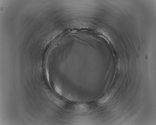 X0000076080402200610061621