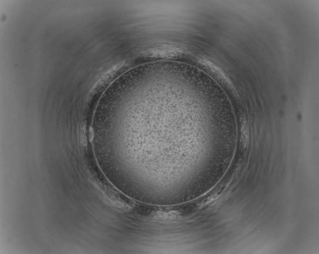 X0000076080403200610061621