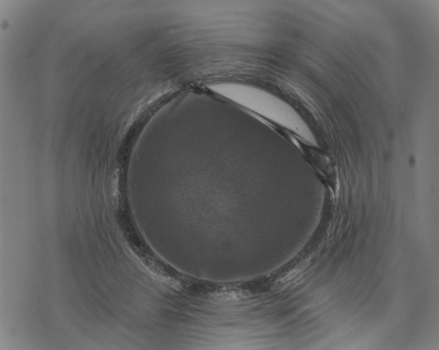 X0000076080404200610061621