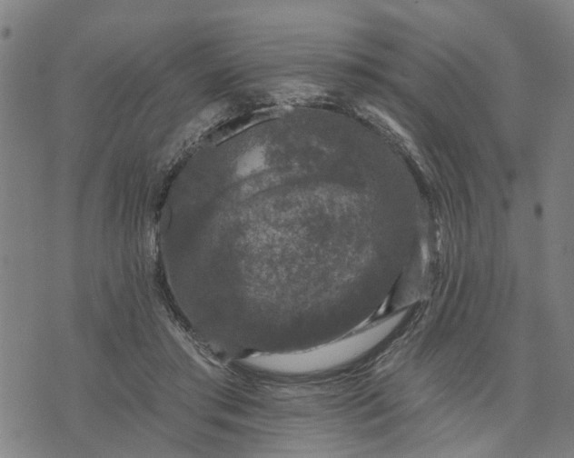 X0000076080405200610061621