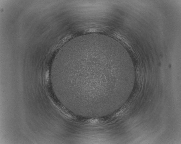 X0000076080406200610061621