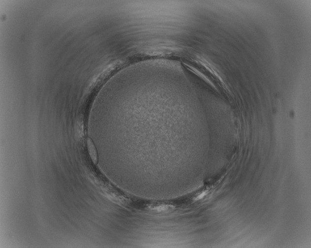 X0000076080407200610061621