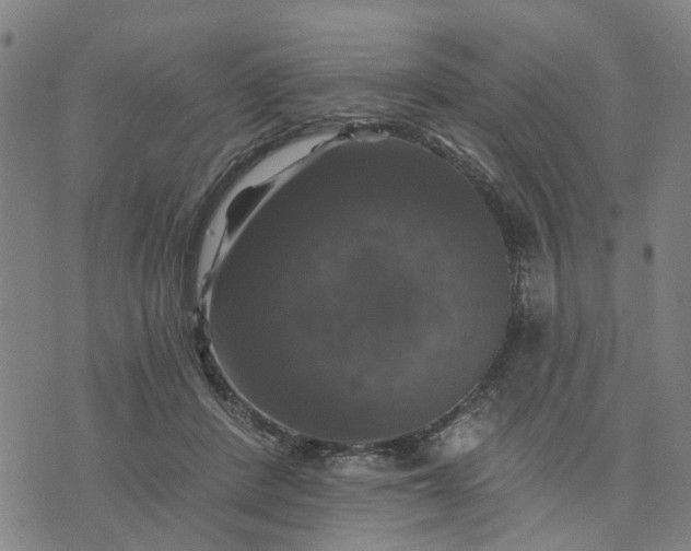 X0000076080408200610061621