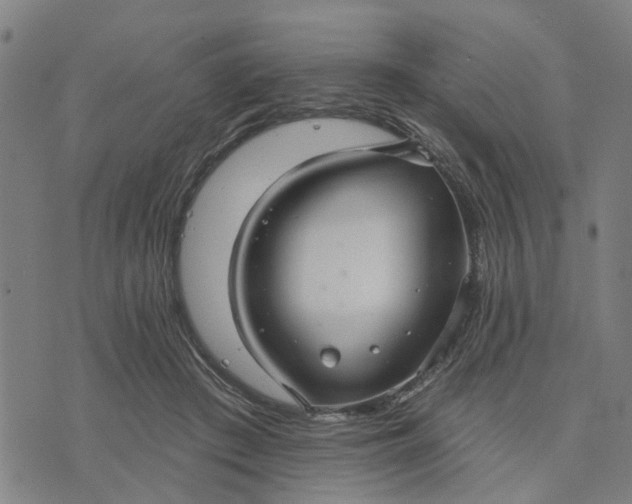 X0000076080409200610061621