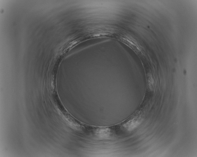 X0000076080410200610061621