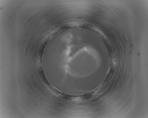 X0000076080411200610061621