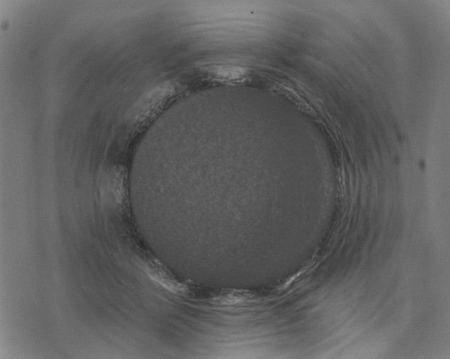 X0000076080412200610061621