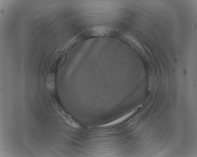 X0000076080413200610061621