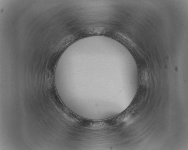 X0000076080414200610061621