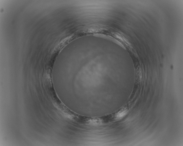 X0000076080415200610061621