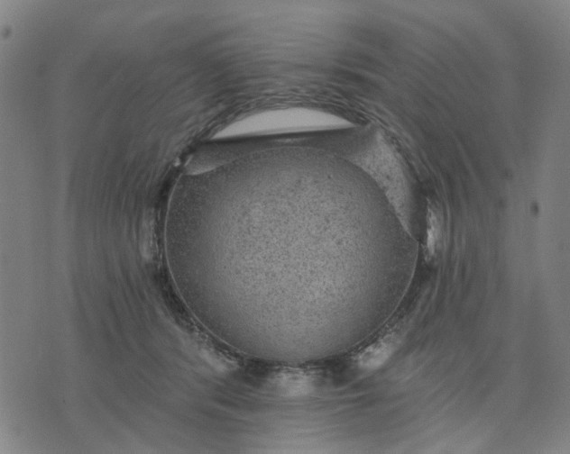 X0000076080416200610061621