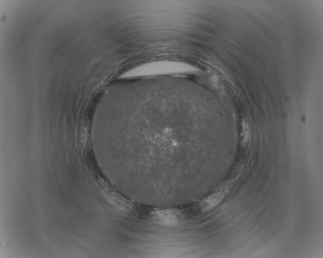 X0000076080417200610061621