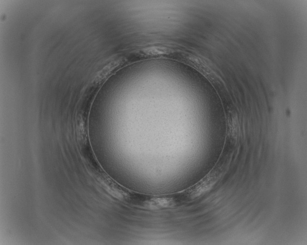 X0000076080418200610061621