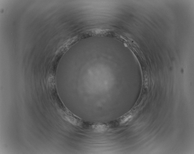 X0000076080419200610061621