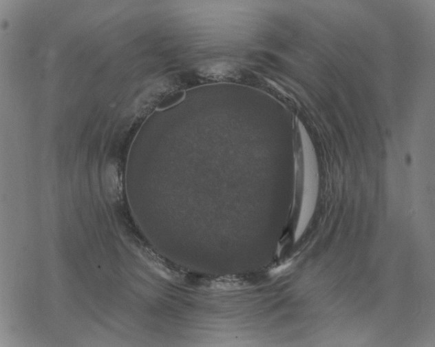 X0000076080420200610061621