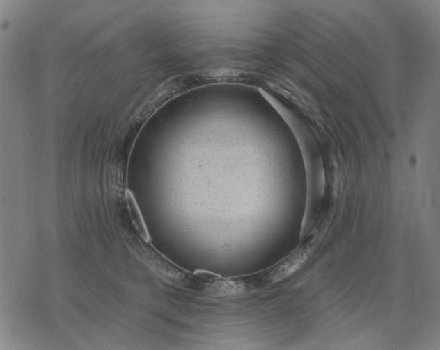 X0000076080421200610061621