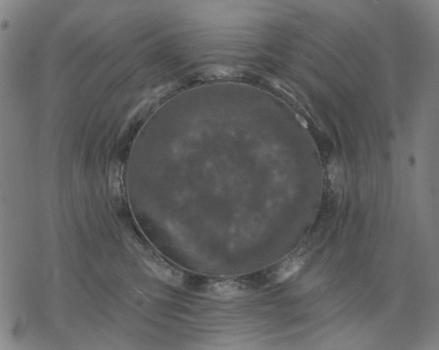 X0000076080423200610061621