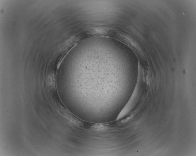 X0000076080425200610061621